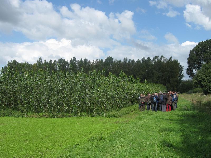 32_DF-51310_proefkwekerij van het Instituut voor Natuur en Bosonderzoek.jpg